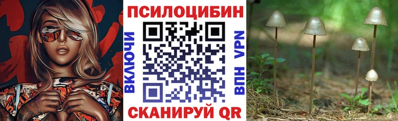 Галлюциногенные грибы прущие грибы  даркнет сайт  Славск 